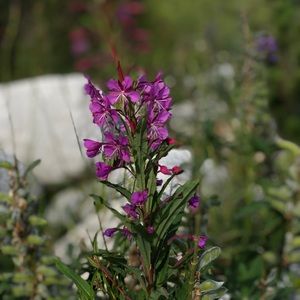 Meet your Posher, Aisha